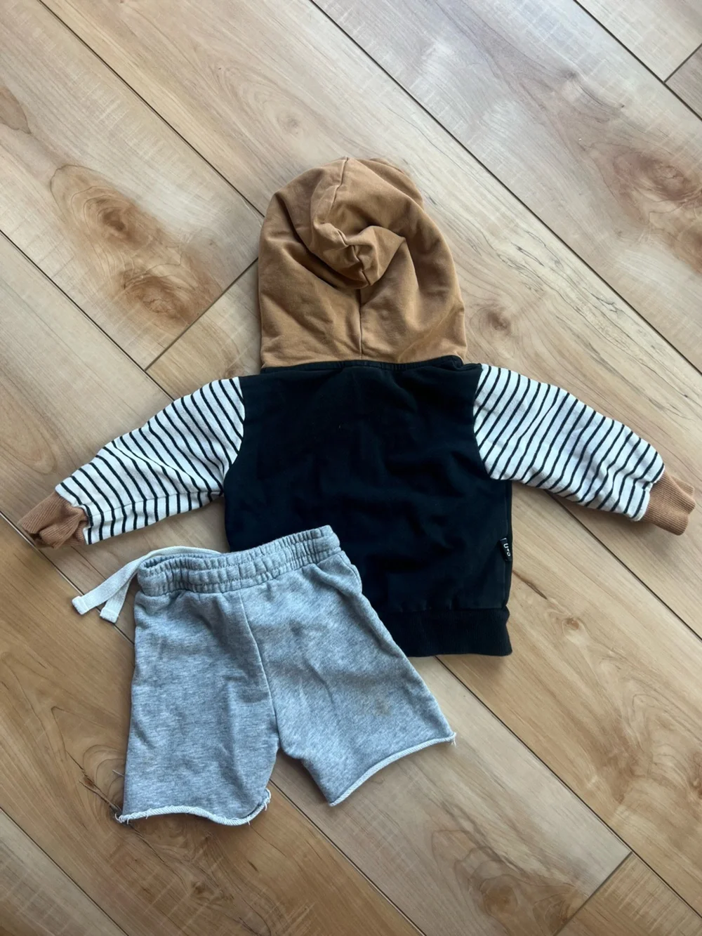 Olive + Scout